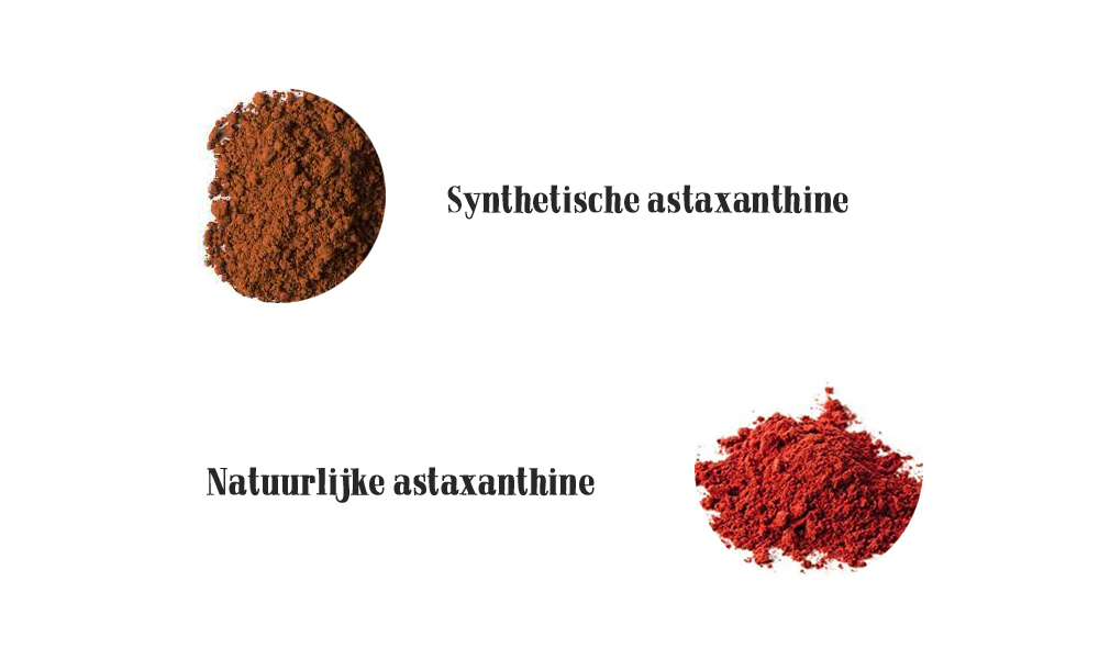 synthetische astaxanthine versus natuurlijke astaxanthine