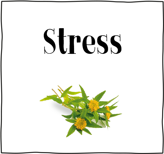 supplementen tegen stress